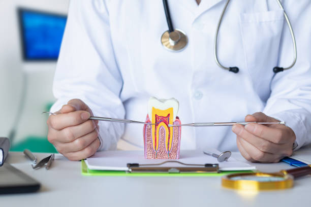 Best Emergency Tooth Extraction in Ocean View, DE